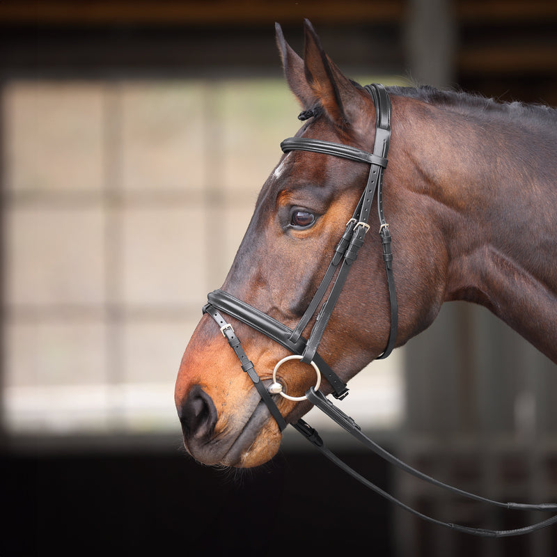 Load image into Gallery viewer, Velociti GARA Comfort Fit Bridle
