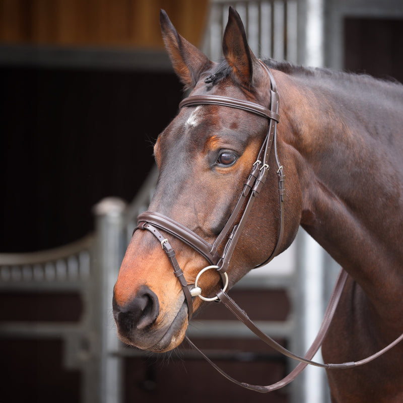 Load image into Gallery viewer, Velociti GARA Comfort Fit Bridle
