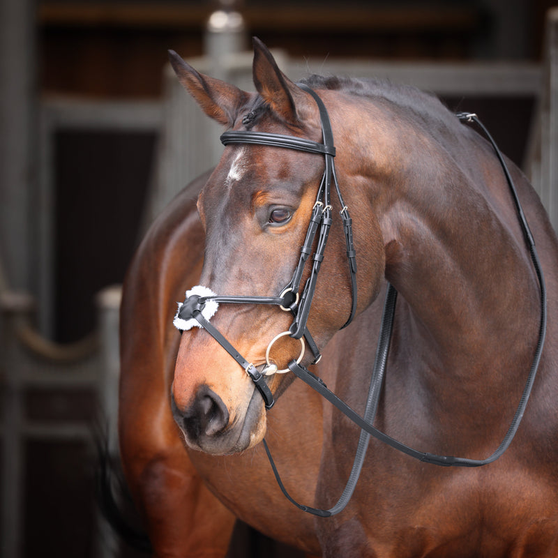 Load image into Gallery viewer, Velociti GARA Mexican Bridle
