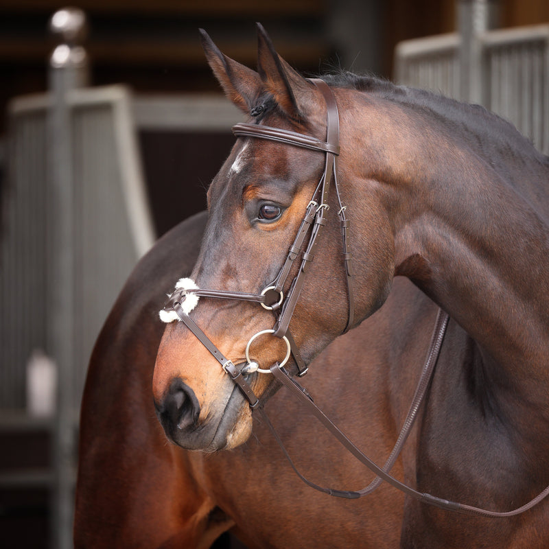 Load image into Gallery viewer, Velociti GARA Mexican Bridle
