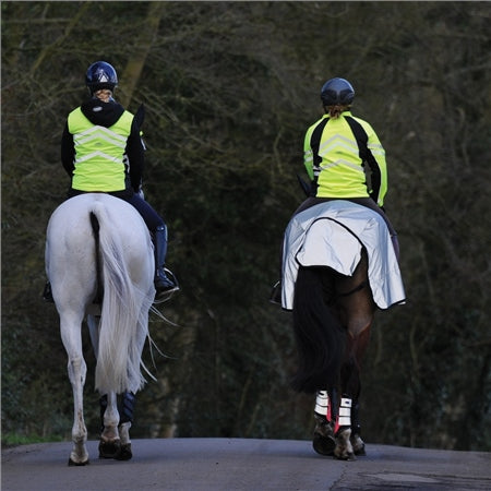 Load image into Gallery viewer, Weatherbeeta Reflective Wrap Around Exercise Sheet - Silver/Black
