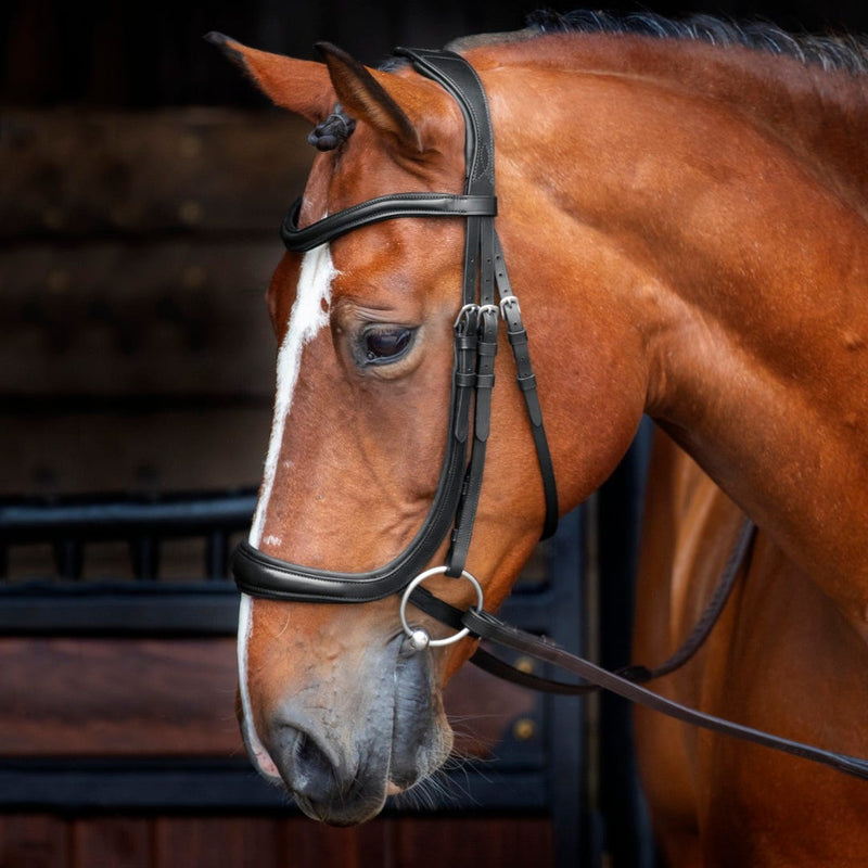 Load image into Gallery viewer, Velociti RAPIDA Ergonomic Cavesson Bridle
