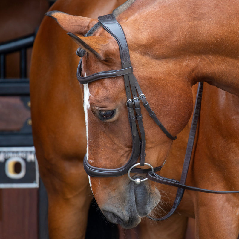 Load image into Gallery viewer, Velociti RAPIDA Ergonomic Cavesson Bridle
