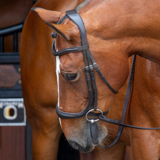 Velociti RAPIDA Ergonomic Cavesson Bridle
