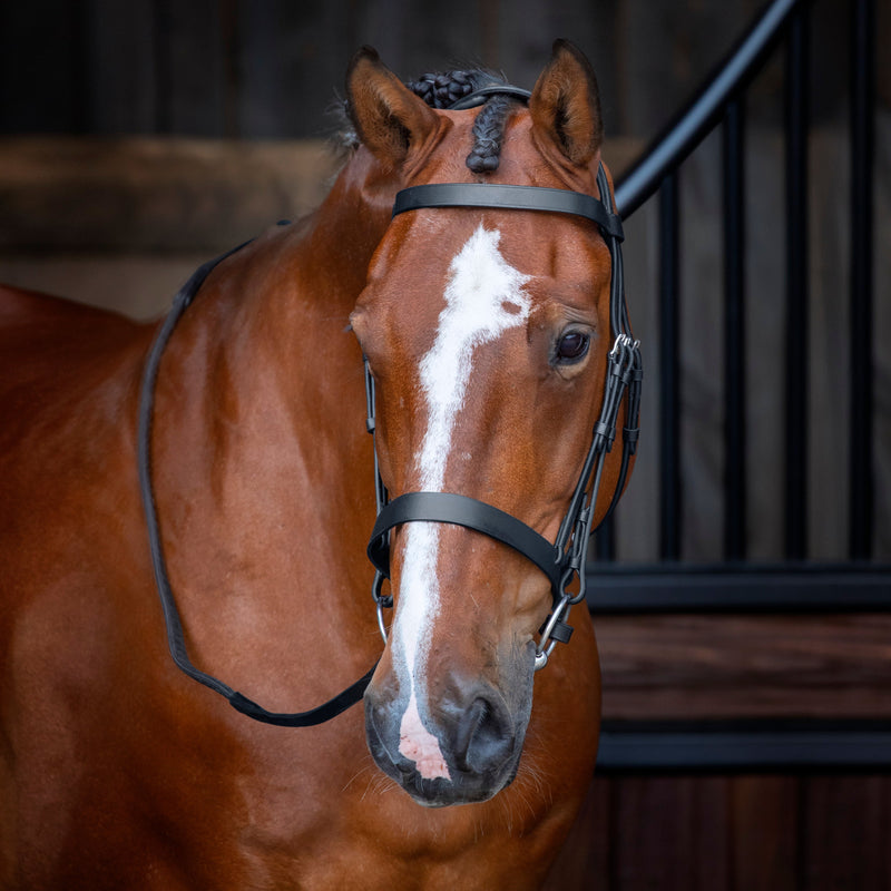 Load image into Gallery viewer, Velociti RAPIDA Hunter Cavesson Bridle
