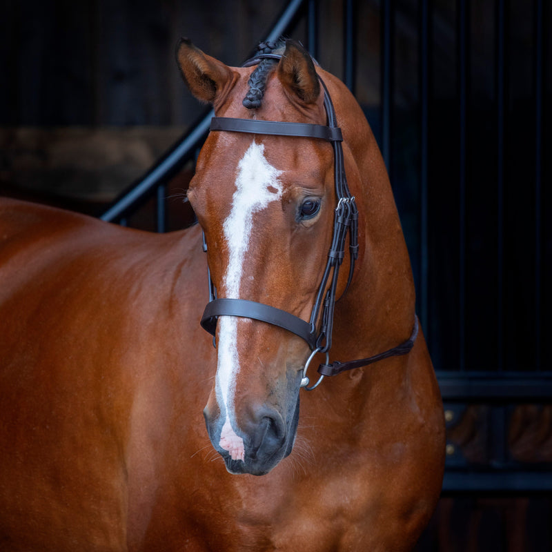 Load image into Gallery viewer, Velociti RAPIDA Hunter Cavesson Bridle

