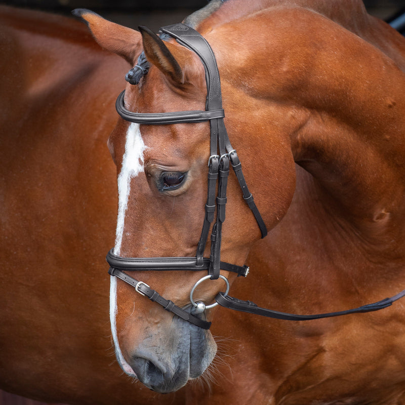 Load image into Gallery viewer, Velociti RAPIDA Padded Raised Flash Bridle
