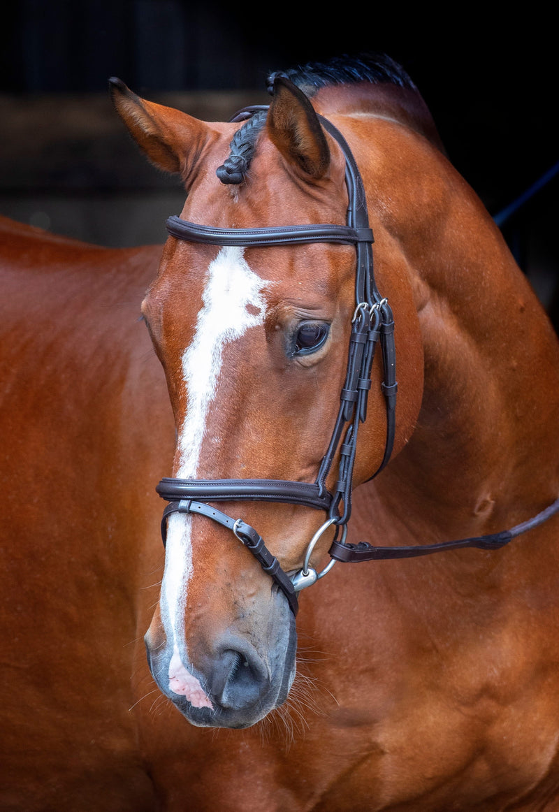 Load image into Gallery viewer, Velociti RAPIDA Padded Raised Flash Bridle
