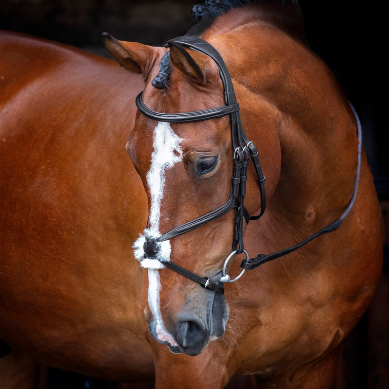 Load image into Gallery viewer, Velociti RAPIDA Grackle Bridle
