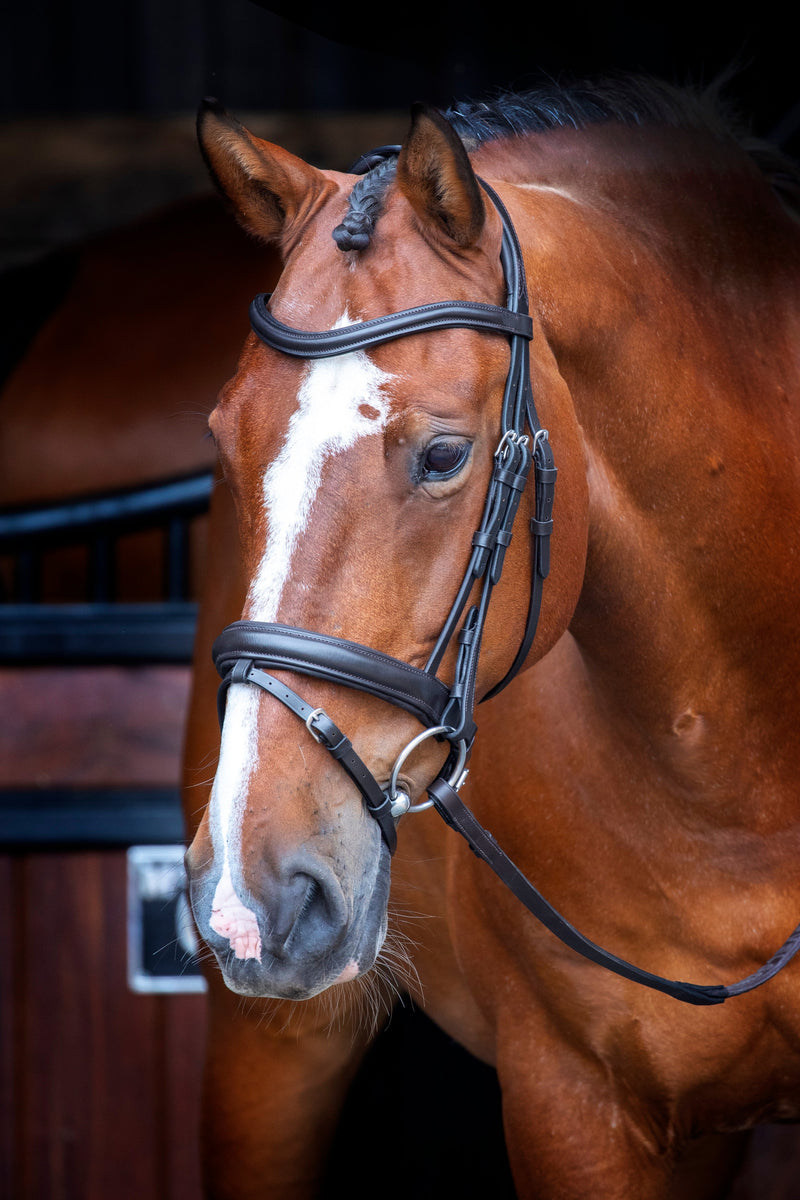 Load image into Gallery viewer, Velociti RAPIDA Dressage Bridle with Flash
