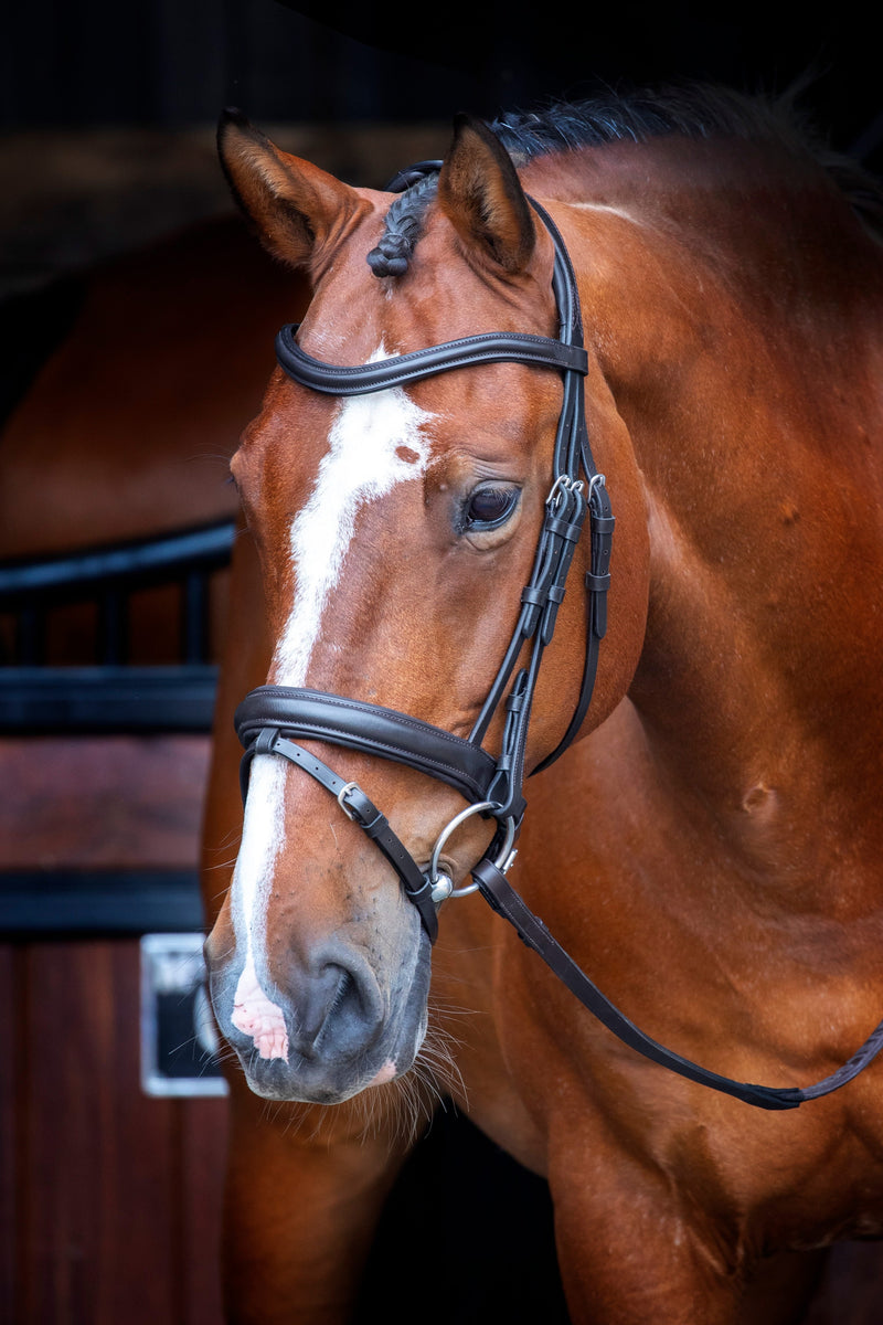 Load image into Gallery viewer, Velociti RAPIDA Dressage Bridle with Flash
