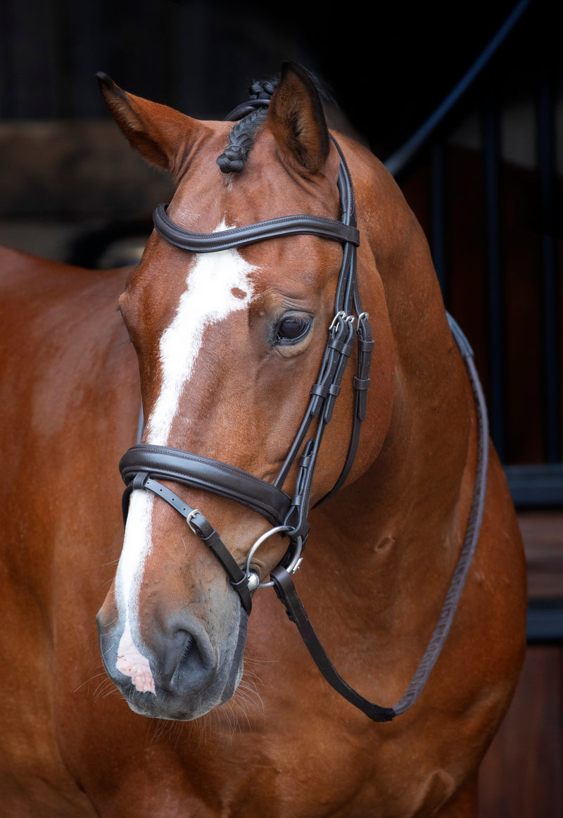 Load image into Gallery viewer, Velociti RAPIDA Dressage Bridle with Flash

