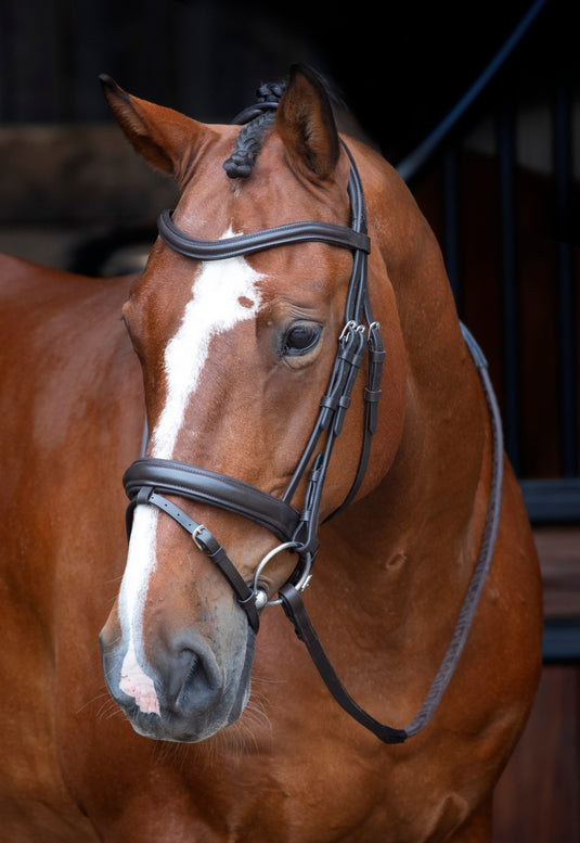 Velociti RAPIDA Dressage Bridle with Flash