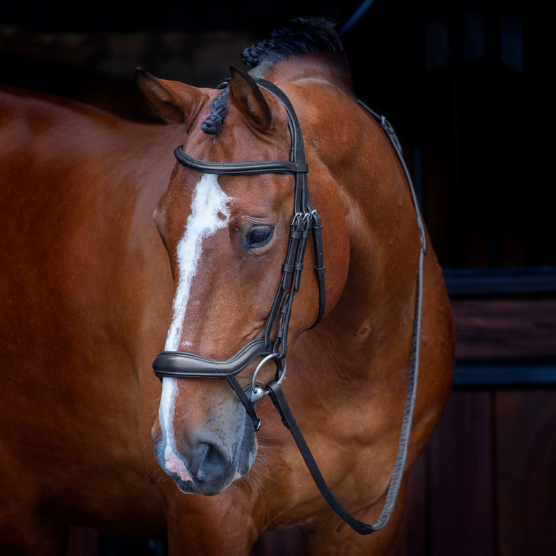 Load image into Gallery viewer, Velociti RAPIDA Ergonomic Flash Bridle
