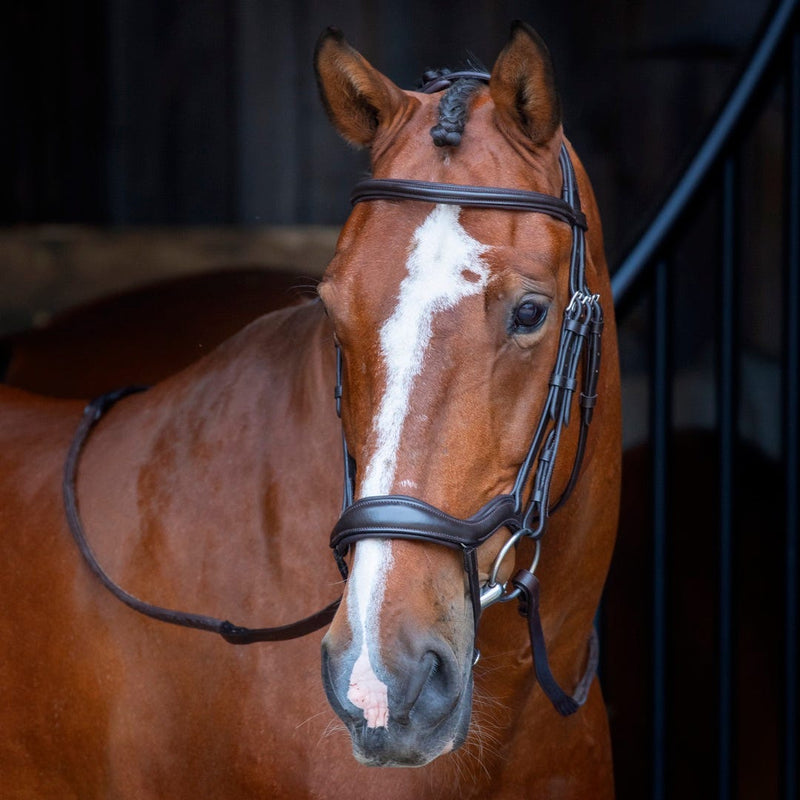Load image into Gallery viewer, Velociti RAPIDA Ergonomic Flash Bridle
