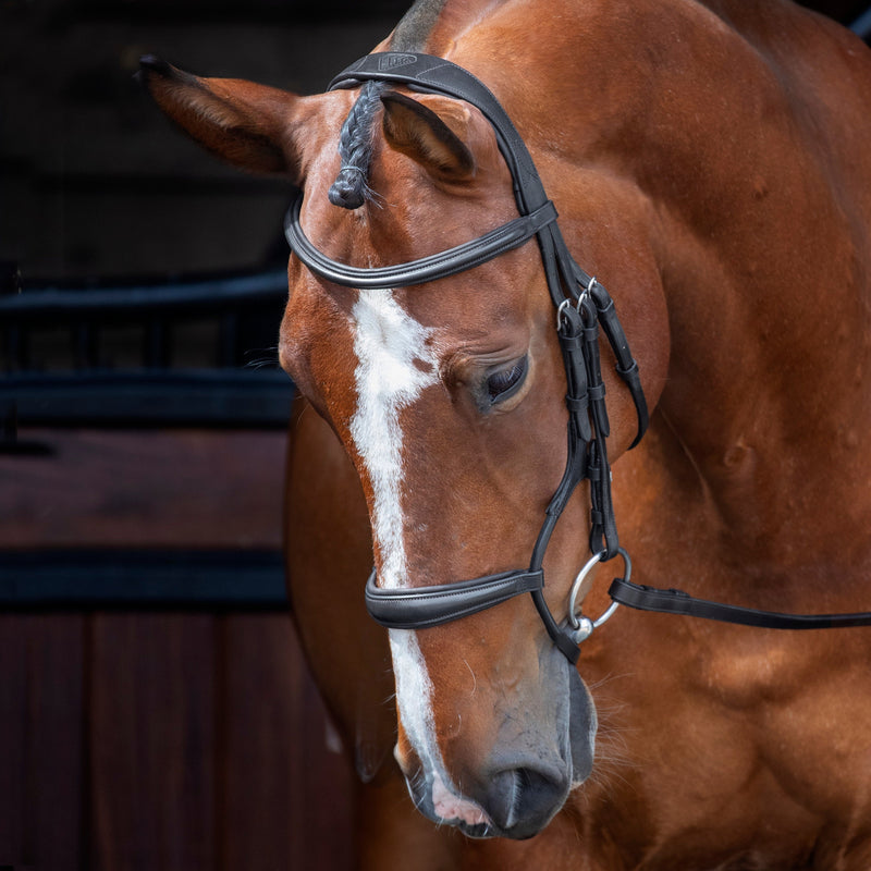 Load image into Gallery viewer, Velociti RAPIDA Rolled Padded Cavesson Bridle
