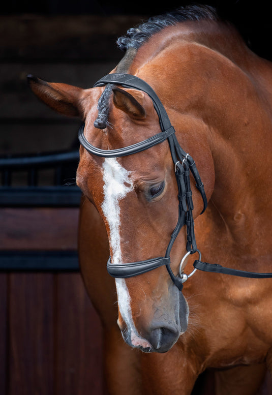 Velociti RAPIDA Rolled Padded Cavesson Bridle