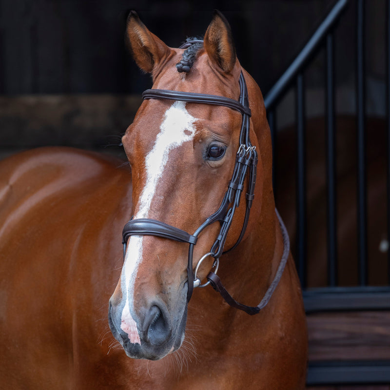 Load image into Gallery viewer, Velociti RAPIDA Rolled Padded Cavesson Bridle
