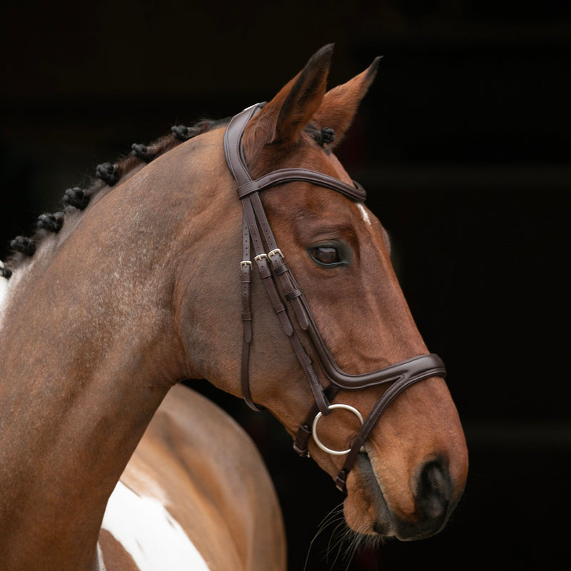 Load image into Gallery viewer, Velociti RAPIDA Comfort Flash Bridle
