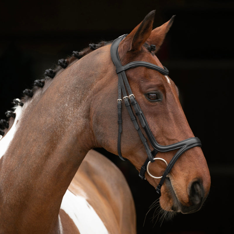 Load image into Gallery viewer, Velociti RAPIDA Comfort Flash Bridle

