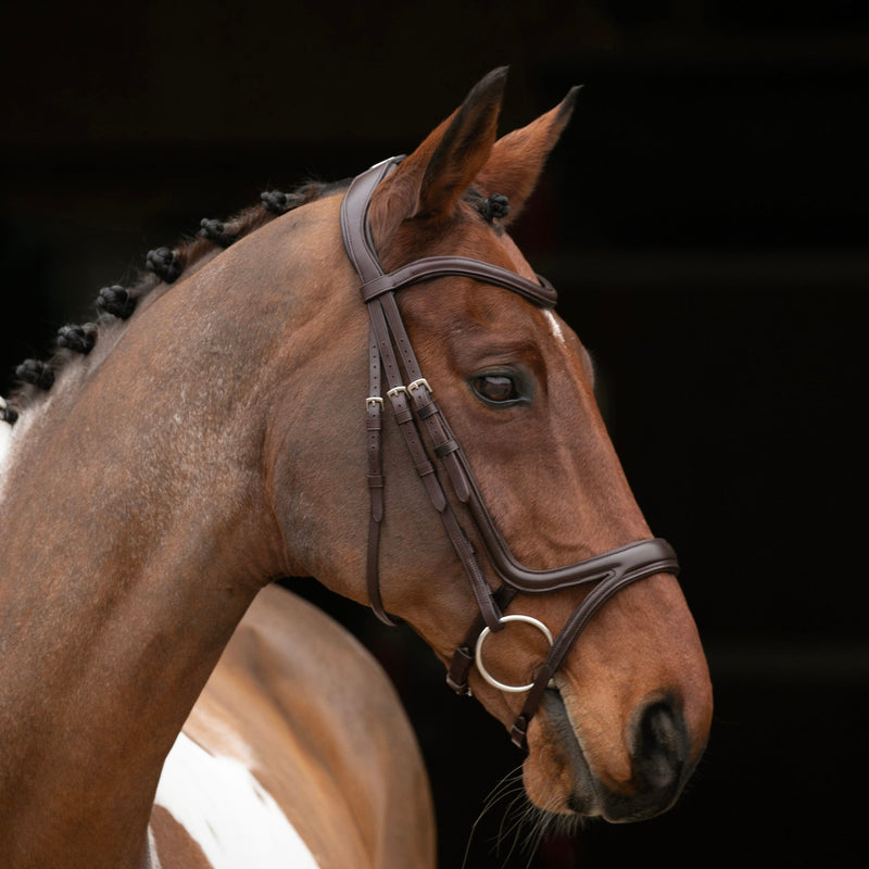 Load image into Gallery viewer, Velociti RAPIDA Comfort Flash Bridle

