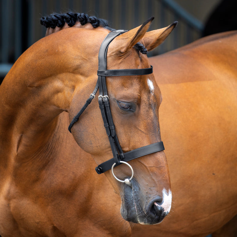 Load image into Gallery viewer, Velociti Lusso Hunter Cavesson Bridle
