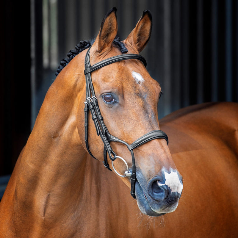 Load image into Gallery viewer, Velociti Lusso Rolled Padded Cavesson Bridle
