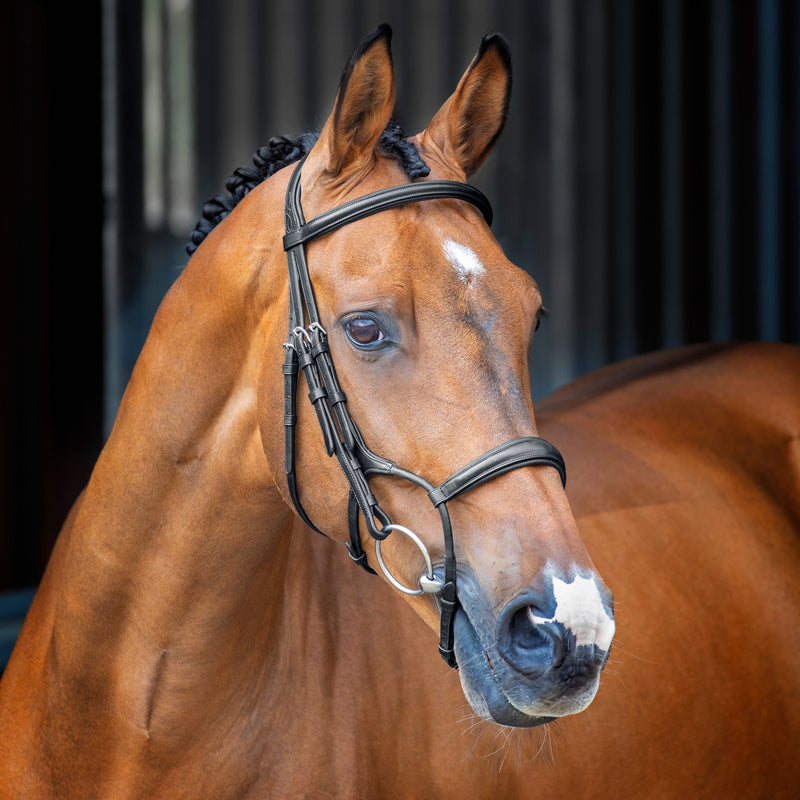 Load image into Gallery viewer, Velociti Lusso Rolled Padded Cavesson Bridle
