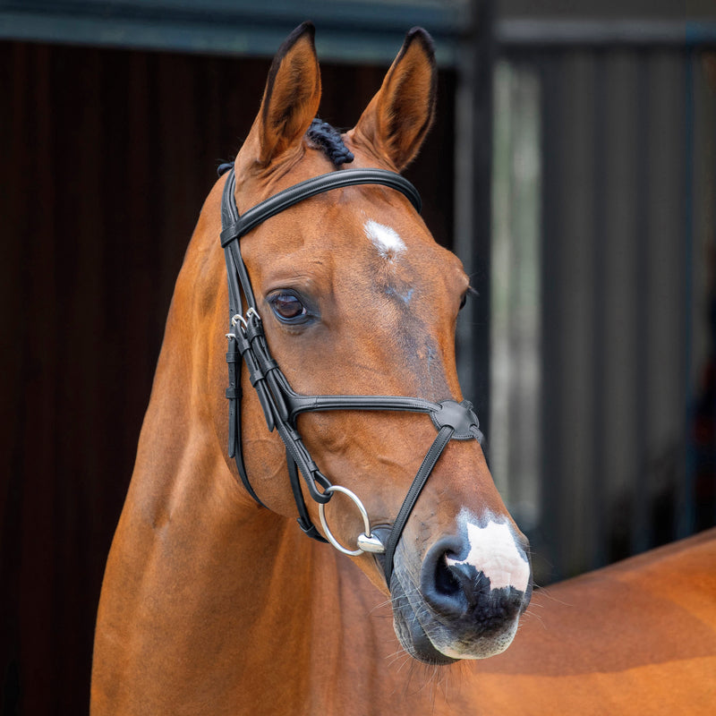Load image into Gallery viewer, Velociti Lusso Grackle Bridle
