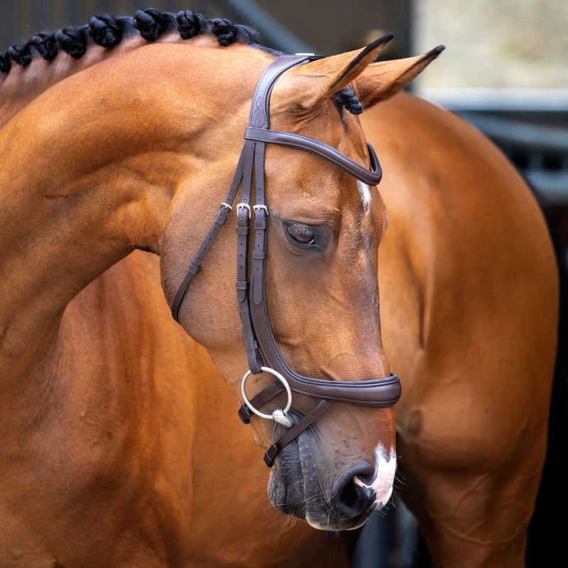 Load image into Gallery viewer, Velociti Lusso Ergonomic Curved Flash Bridle
