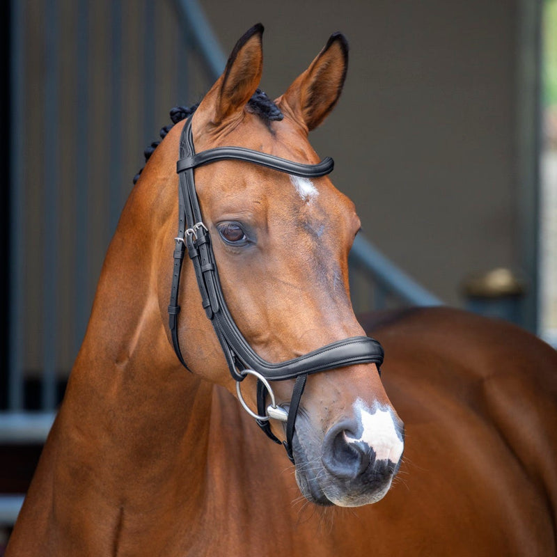 Load image into Gallery viewer, Velociti Lusso Ergonomic Curved Flash Bridle
