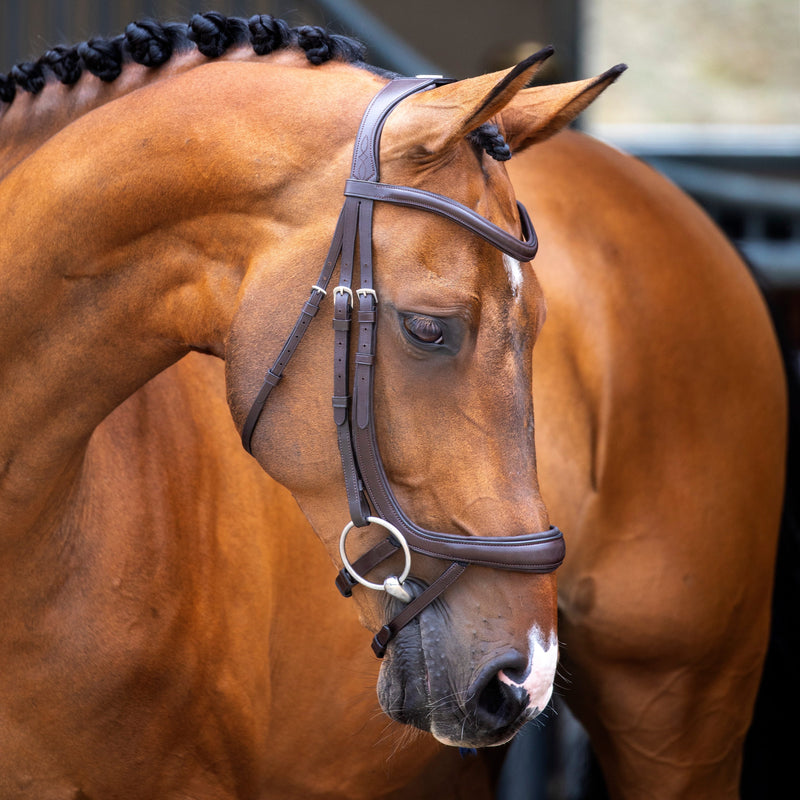 Load image into Gallery viewer, Velociti Lusso Ergonomic Curved Flash Bridle
