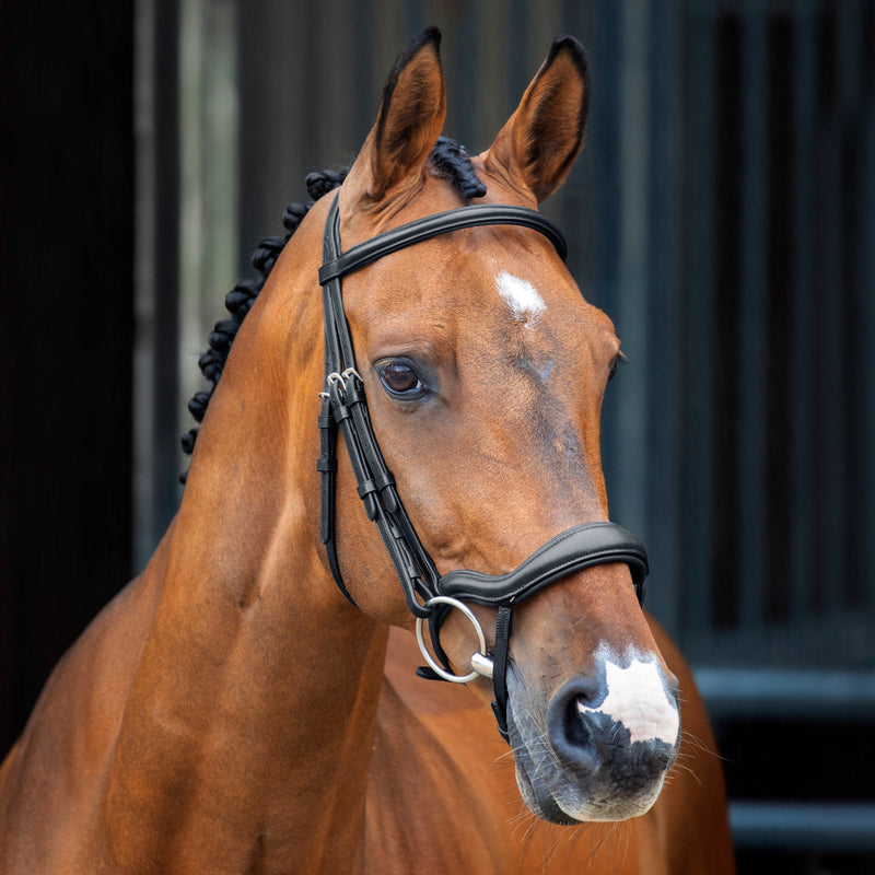 Load image into Gallery viewer, Velociti Lusso Ergonomic Flash Bridle
