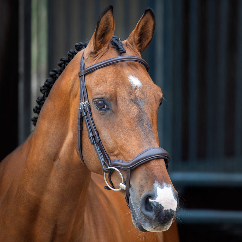 Load image into Gallery viewer, Velociti Lusso Ergonomic Flash Bridle
