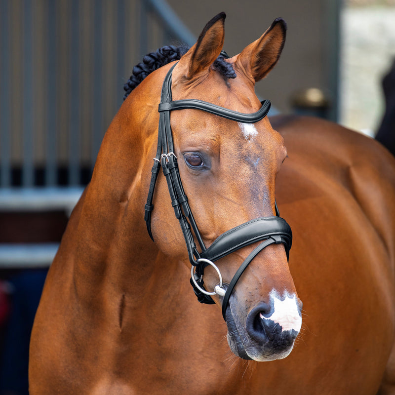 Load image into Gallery viewer, Velociti Lusso Dressage Flash Bridle
