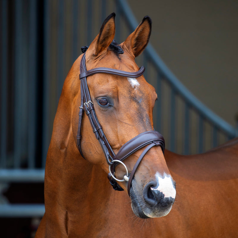 Load image into Gallery viewer, Velociti Lusso Dressage Flash Bridle
