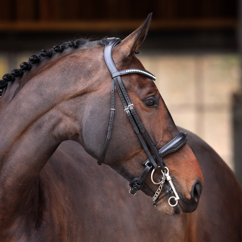 Load image into Gallery viewer, Velociti Lusso Elite Double Bridle
