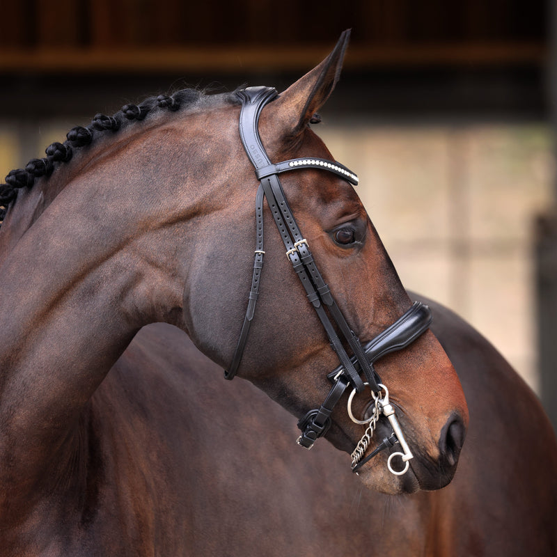 Load image into Gallery viewer, Velociti Lusso Elite Double Bridle
