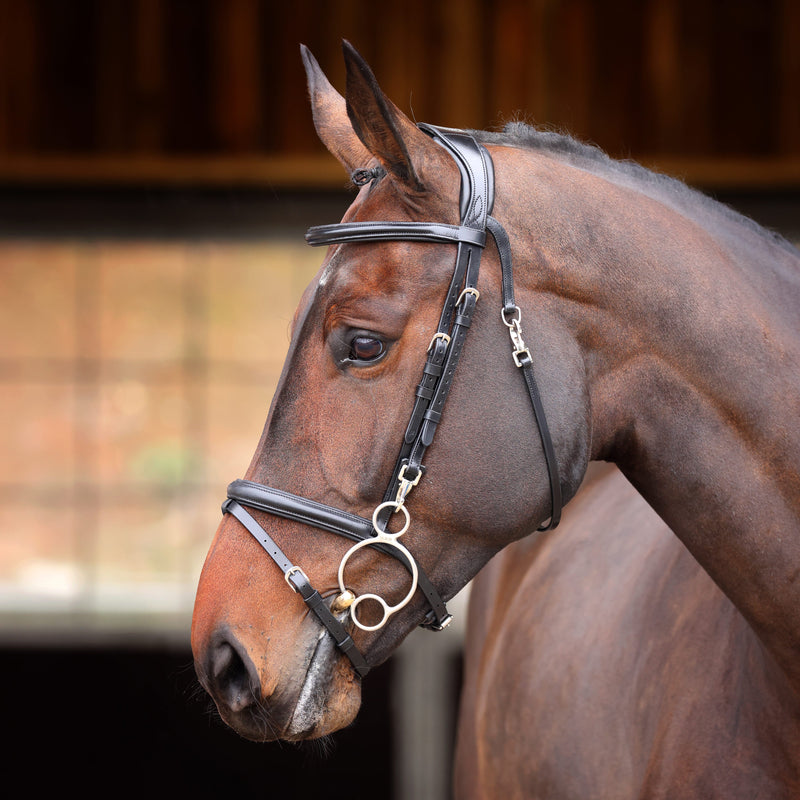Load image into Gallery viewer, Velociti RAPIDA Training Bridle
