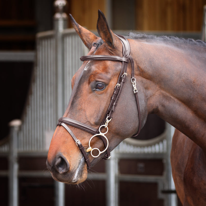 Load image into Gallery viewer, Velociti RAPIDA Training Bridle
