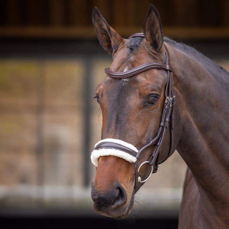 Load image into Gallery viewer, Velociti RAPIDA Rolled Fleece Lined Cavesson Noseband
