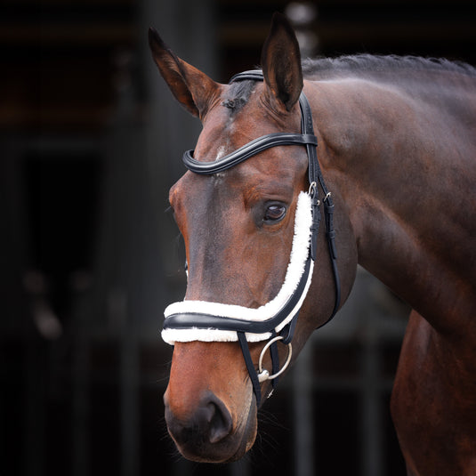 Velociti RAPIDA Fleece Curved Flash Noseband