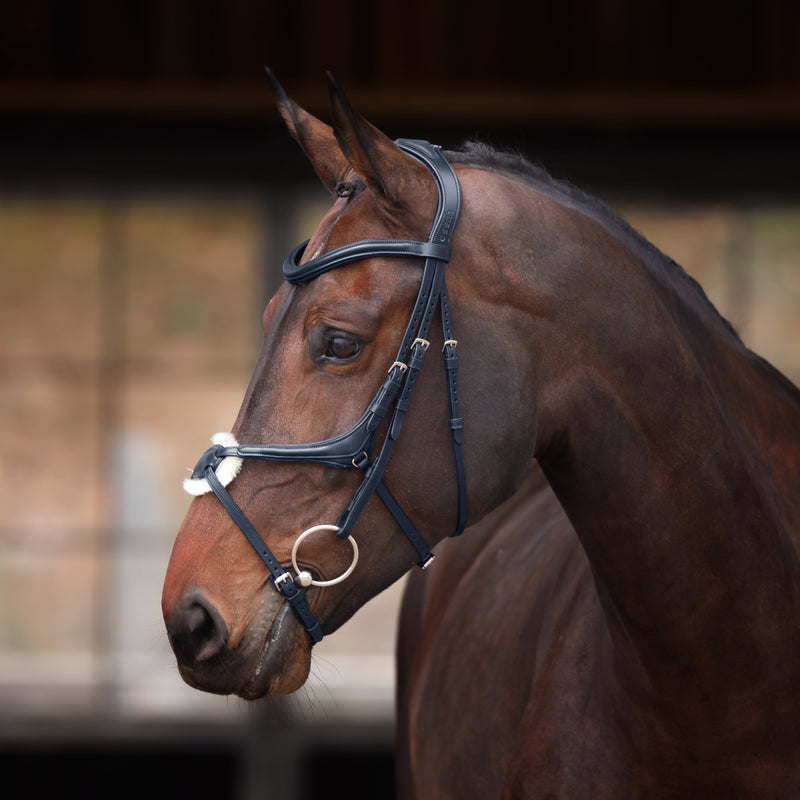 Load image into Gallery viewer, Velociti Lusso Elite Grackle Bridle
