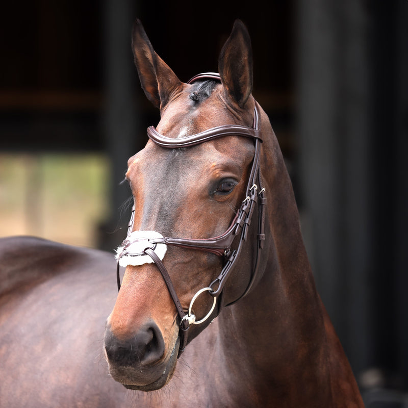 Load image into Gallery viewer, Velociti Lusso Elite Grackle Bridle
