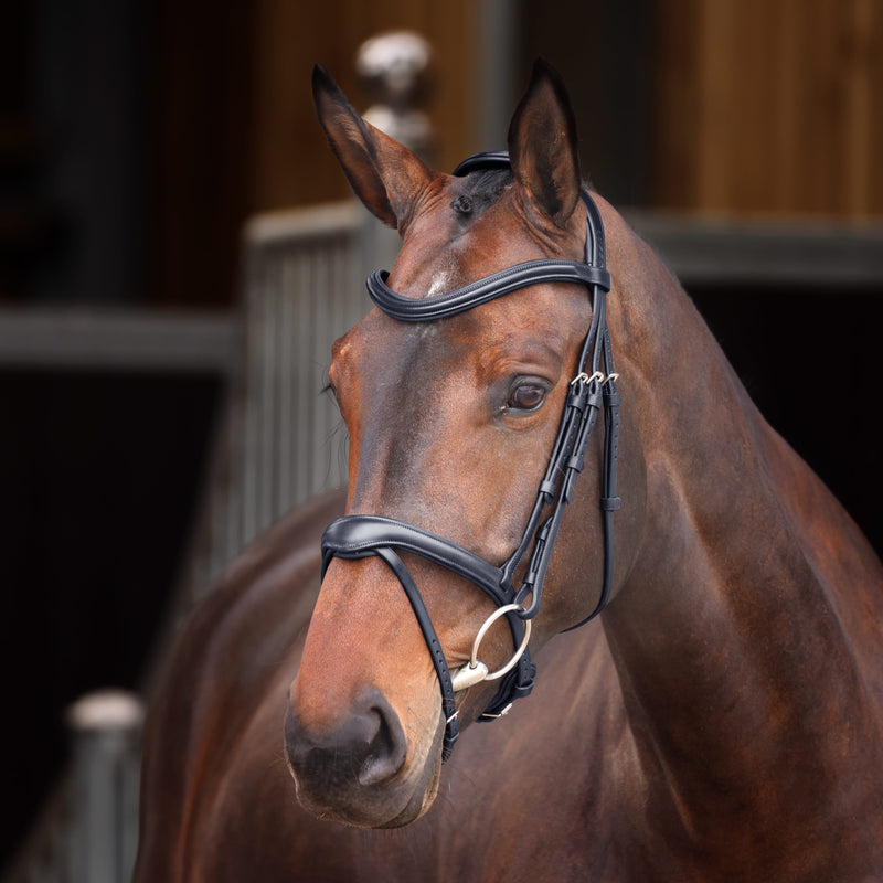 Load image into Gallery viewer, Velociti Lusso Elite Flash Bridle
