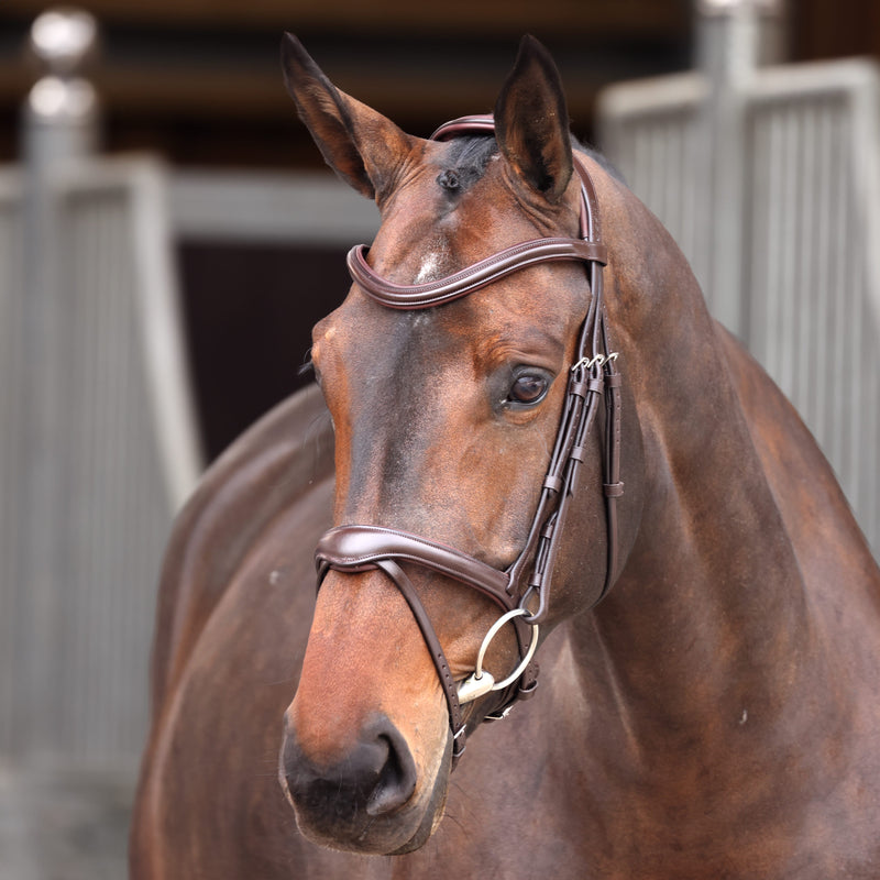 Load image into Gallery viewer, Velociti Lusso Elite Flash Bridle

