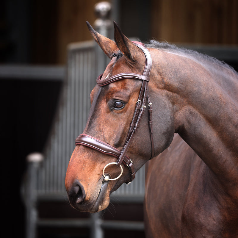 Load image into Gallery viewer, Velociti Lusso Elite Padded Cavesson Bridle
