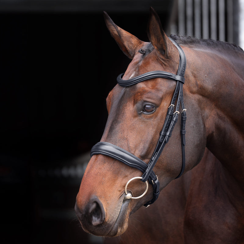 Load image into Gallery viewer, Velociti Lusso Elite Padded Cavesson Bridle
