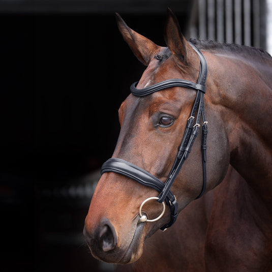 Velociti Lusso Elite Padded Cavesson Bridle