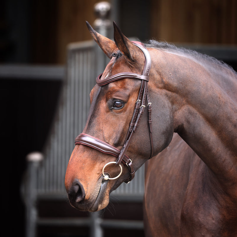 Load image into Gallery viewer, Velociti Lusso Elite Padded Cavesson Bridle
